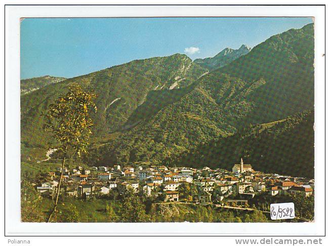 PO9522# PORDENONE - CLAUT  VG 1977 - Pordenone