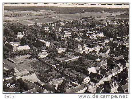 CPM 89 CHAMPIGNY SUR YONNE - Vue Aerienne Sur L Allee Des Platanes - Champigny