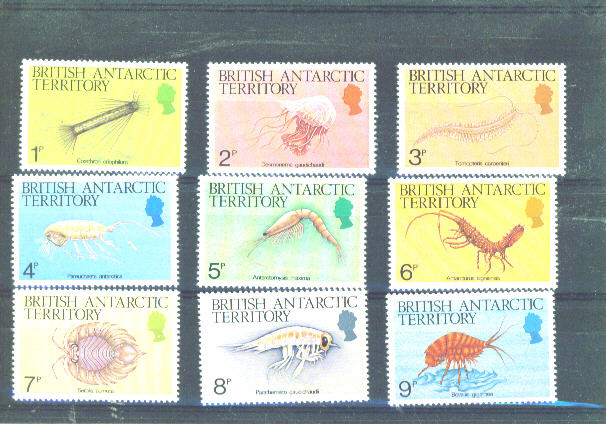 BRITISH ANTARCTIC TERRITORY  - 1984 Marine Life UM - Neufs