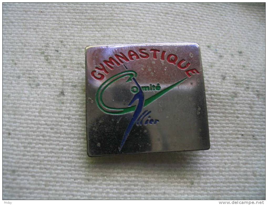 Pin´s  Gymnastique Du Comité ALLIER - Gimnasia