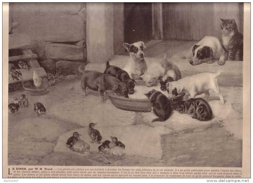 Gravure G4  Le Diner   W H Trood   Chiot Chat  Chaton  +mont Cormoran   Sierra Nevada   Par Albert Bierstadt - Estampes & Gravures