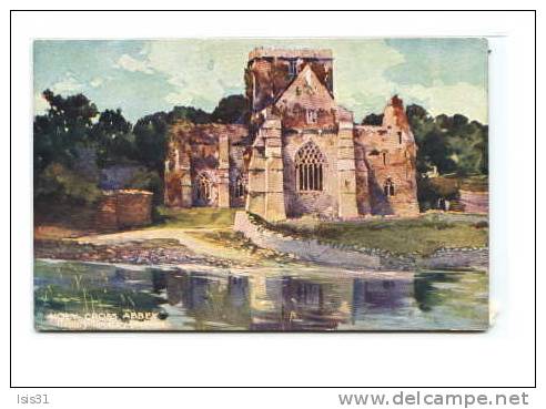 Irlande - RF22460 - Holy Cross Abbey - County Tipperary - état - Tipperary