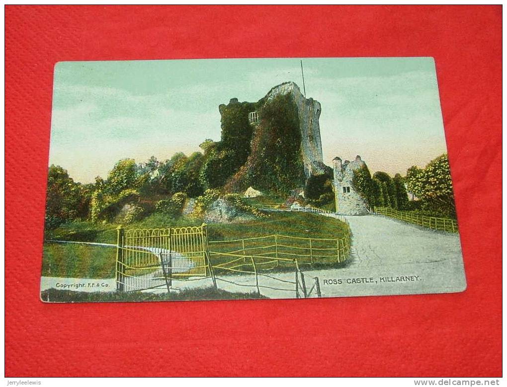 Killarney - Ross Castle - Kerry