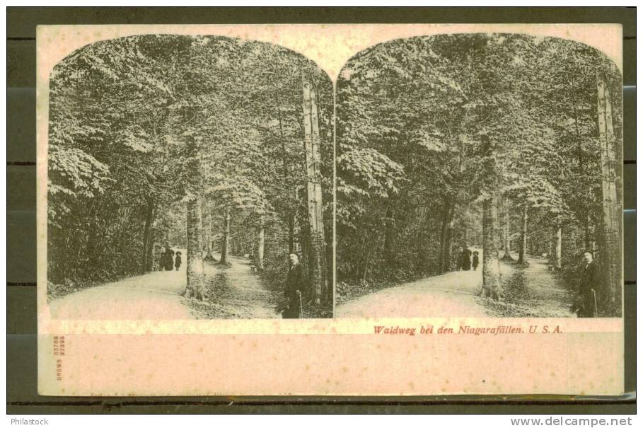 CPA Allemande Stéréo Waldweg Bei Den NIAGARAFALLEN USA - Stereoscope Cards