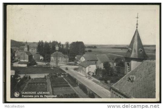 BELGIQUE JAMOIGNE / Panorama Pris Du Pensionnat / - Chiny