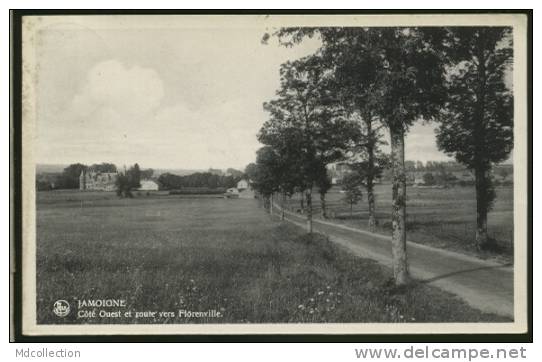 BELGIQUE JAMOIGNE / Côté Ouest Et Route De Florenville / - Chiny