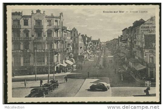 BELGIQUE KNOCKE ZOUTE / Avenue Lippens / - Knokke