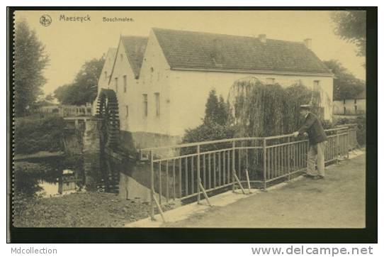 BELGIQUE MAESEYCK / Boschmolen / - Maaseik