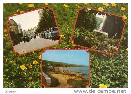 Souvenir De Mostaganem - Multivues - Mostaganem