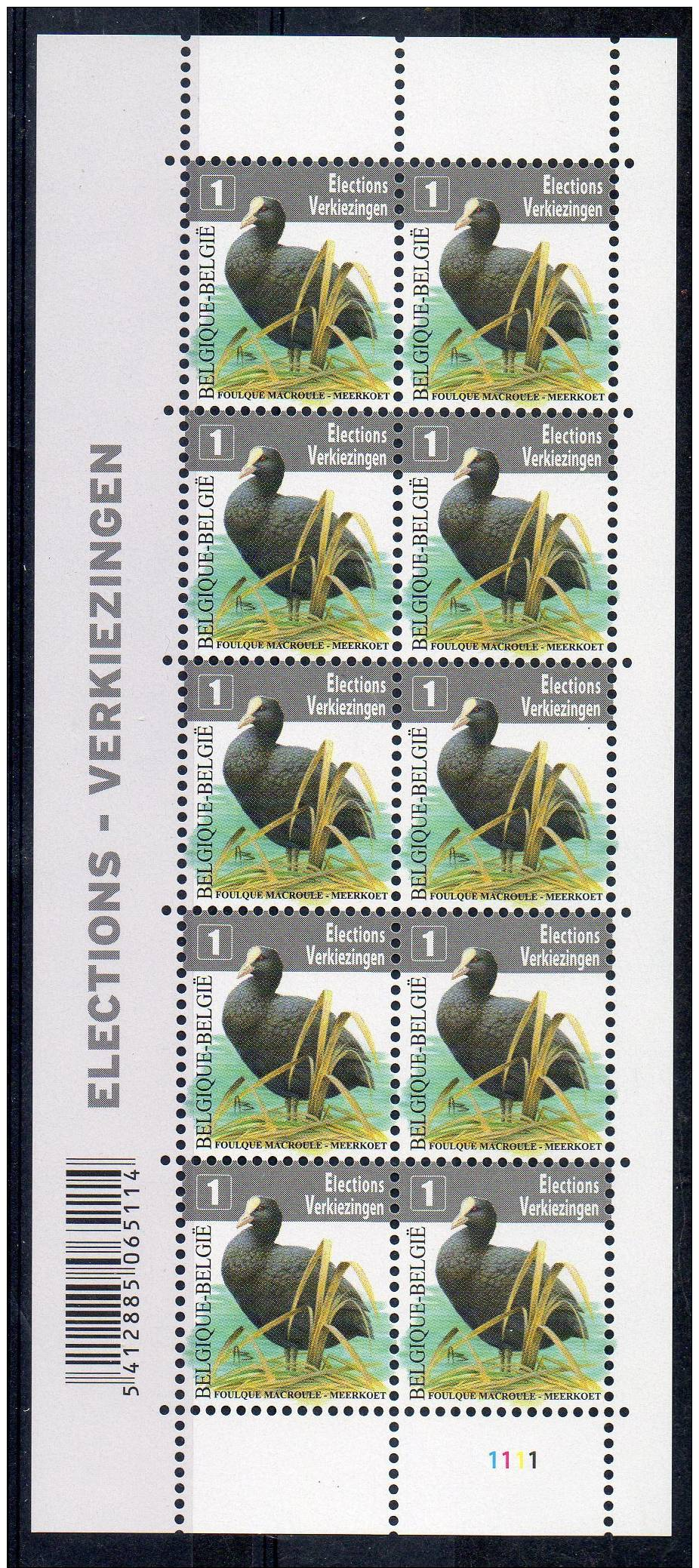 Meerkoet - Foulque Macroule - Plaat 1 - Elections - Verkiezingen - (00094) - 1985-.. Vogels (Buzin)