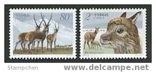 China 2003-12 Tibetan Antelope Stamps Mammal Fauna Animal Mount - Ungebraucht