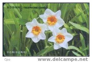 # KOREA MO9607122 Narcissus 3000 Autelca 07.96 -flowers,fleurs- Tres Bon Etat - Korea (Zuid)