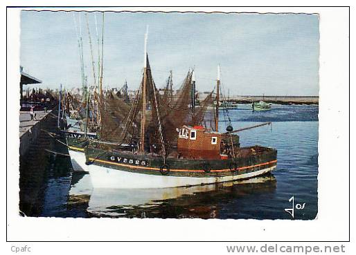 CARTE 1960 LE GUILVINEC BATEAUX DEVANT LES QUAIS - Guilvinec