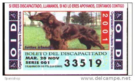 SPAIN LOTTERY TICKET OID.....IRISH SETTER DOG - Billetes De Lotería