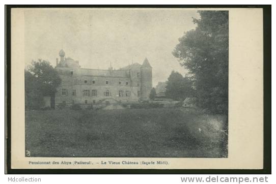 BELGIQUE PALISEUL / Le Vieux Château / - Paliseul