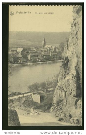 BELGIQUE PROFONDEVILLE / Vue Prise Des Gorges / - Profondeville