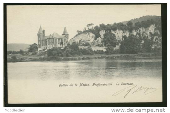 BELGIQUE PROFONDEVILLE / Vallée De La Meuse, Le Château / - Profondeville