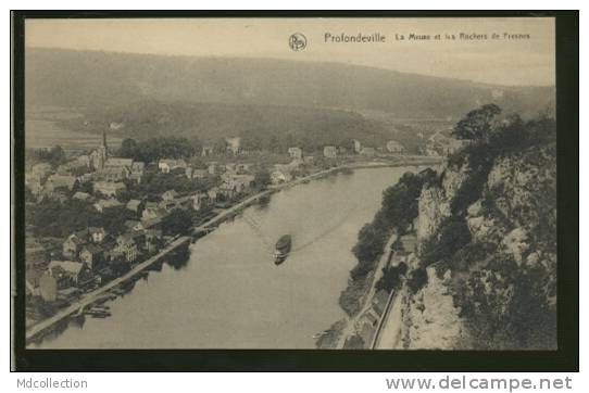 BELGIQUE PROFONDEVILLE / La Meuse Et Les Rochers De Fresnes / - Profondeville