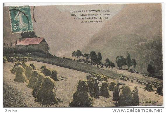 VENOSC 239 MOISSONNEUSES DANS LE FOND L'AIGUILLE DU PLAT LES ALPES PITTORRESQUES 1916 - Vénosc