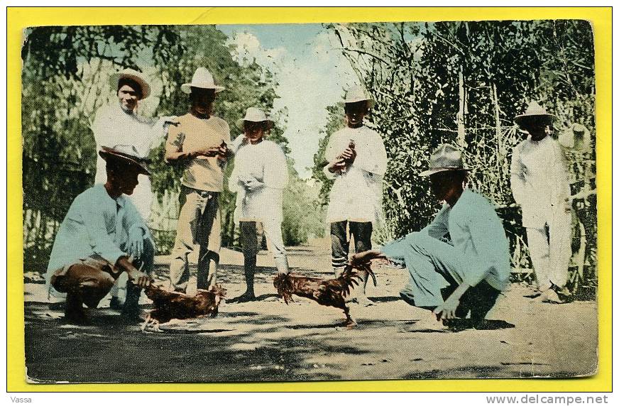 Philippines . Old Postcard .Cock Fight. Combat Des Coqs. Sujet Rare - Filipinas