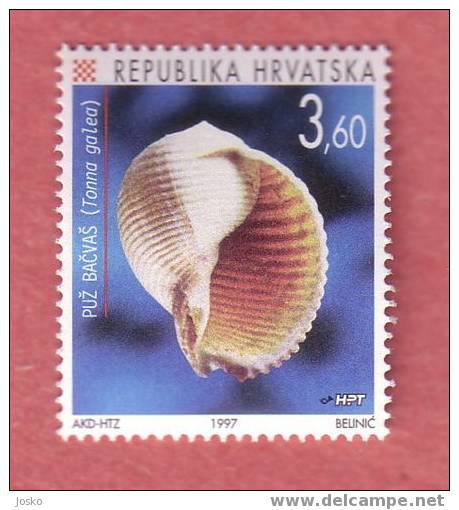 COQUILLAGE Tonna Galea ( Croatie MNH** ) Seashell Coquille Sea Shells Coquilles Seashells Shell Concha Snail Escargot - Coneshells