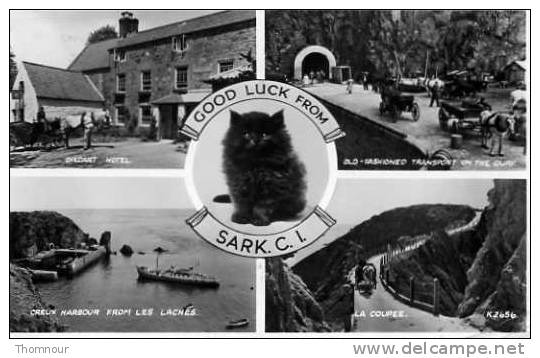 GOOD LUCK FROM  SARK. C.I. - MULTI VUES  4 VUES - TRES   BELLE CARTE  PHOTO ANIMEE- - Sark