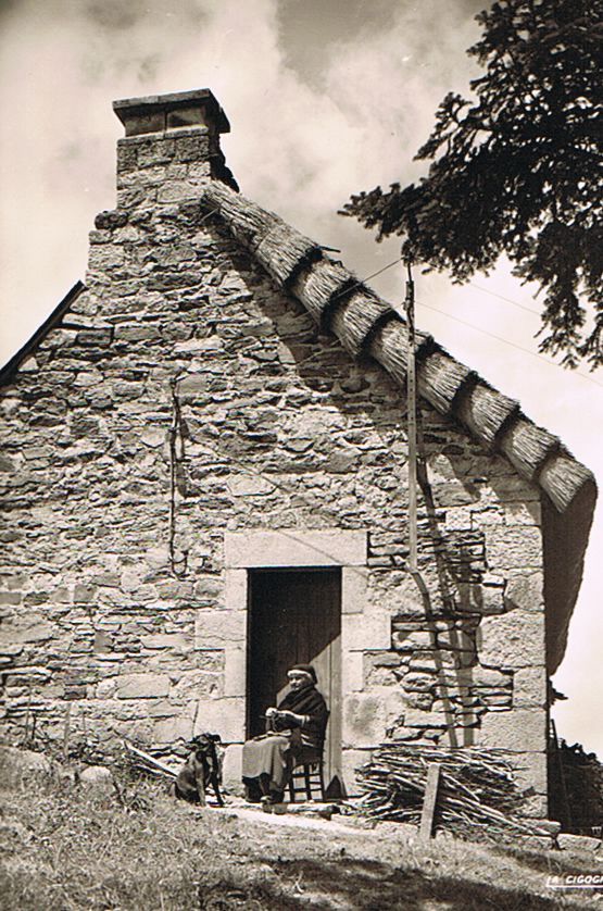 15 - CANTAL PITTORESQUE - Chaumiere Auvergnate - Vieille Auvergnate Tricotant Avec Son Chien -neuve - Sonstige & Ohne Zuordnung