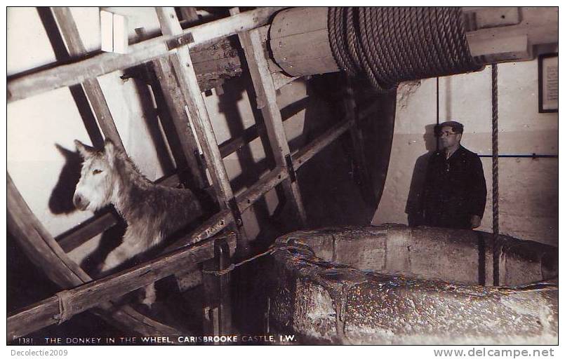 B4441 England The Donkey In The Wheel Carisbrooke Castle 1960 Used Perfect Shape - Sonstige & Ohne Zuordnung
