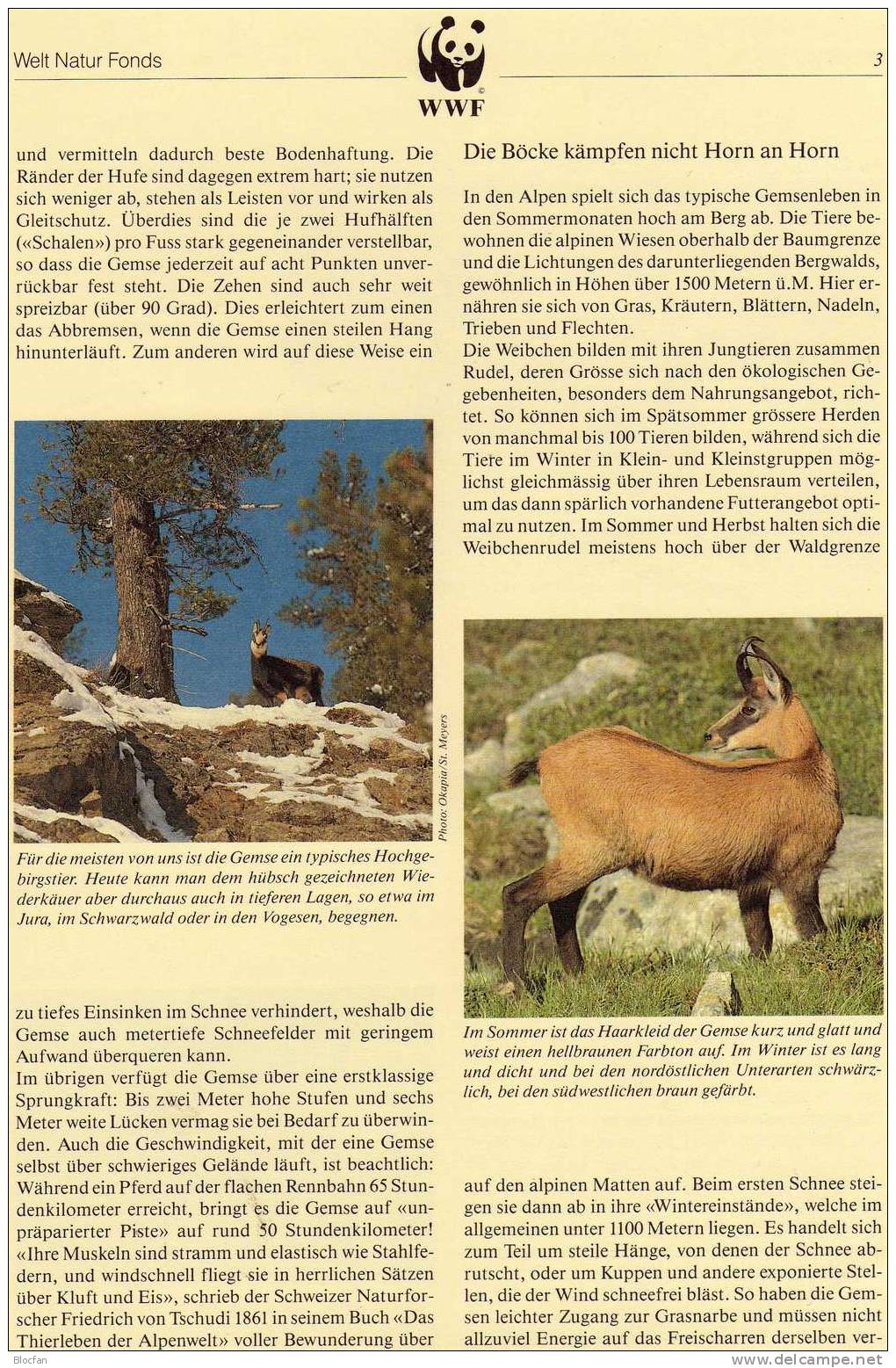 WWF-Serie 95 Albanien 2423/6 4xFDC 9€ Die Gemse Naturschutz Mit Dokumentation - Protection De L'environnement & Climat