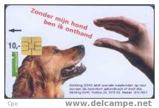 # NETHERLANDS CG15-1 Stichting Soho 10 So3 01.97  Tres Bon Etat - öffentlich