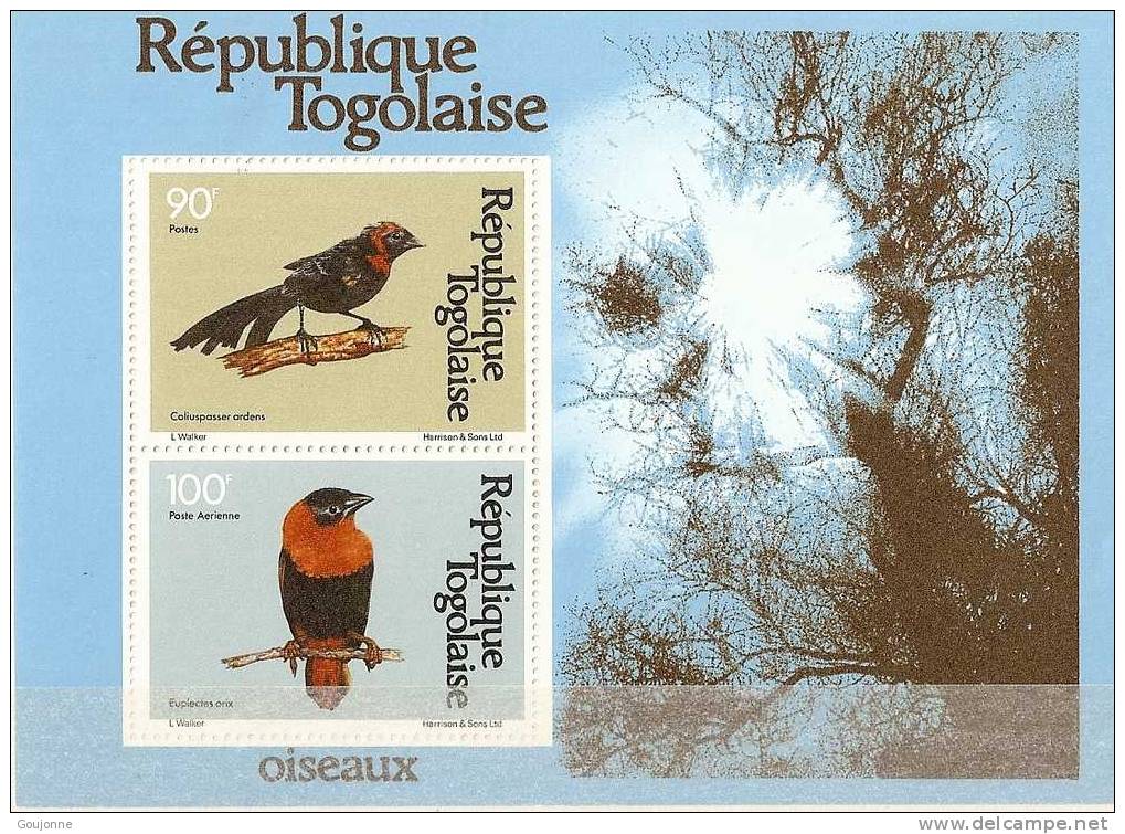 TOGO Légende  Oiseaux     BF150** - Colibris