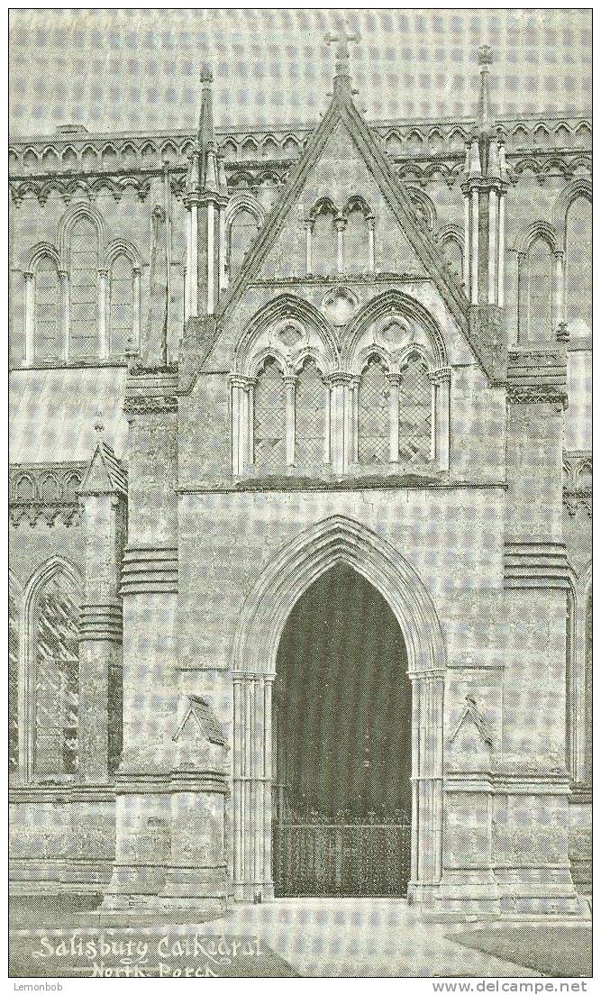 Britain United Kingdom Salisbury Cathedral North Porch, Early 1900s Postcard [P1468] - Salisbury