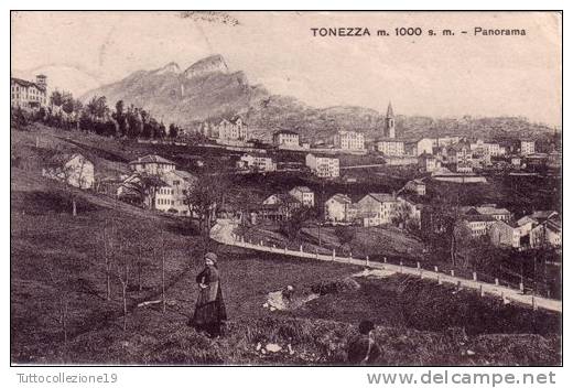 VENDO N.1CARTOLINA DI TONEZZA (VI) PANORAMA FORMATO PICCOLO VIAGGIATA NEL 1925 CON FRANCOBOLLO PERFETTA - Vicenza