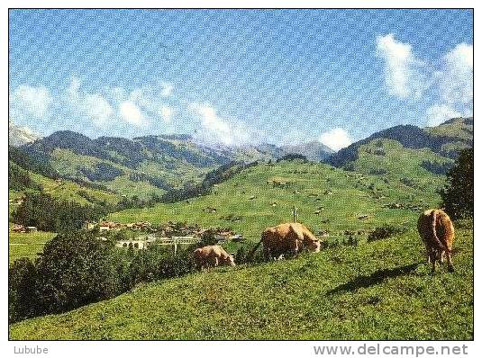 Flendruz - Idylle Vaudoise - Le Vaud