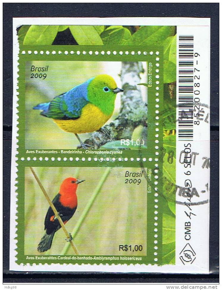 BR+ Brasilien 2009 Mi 3704 3707 Vögel - Oblitérés