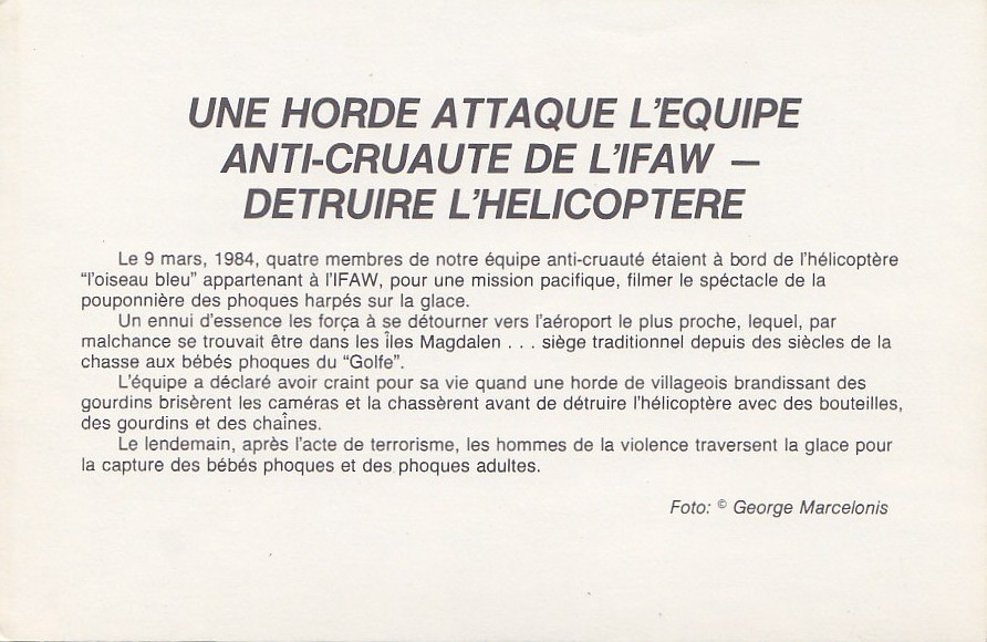 Aviation - Hélicoptère - Chasse Aux Phoques - Destruction Hélicoptère - Ecologie Animaux - Iles Magdalen Canada - Elicotteri