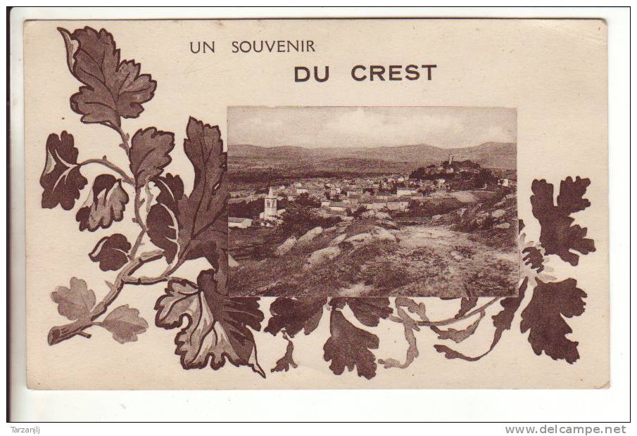 CPA De Crest (Drôme 26): Souvenir - Crest