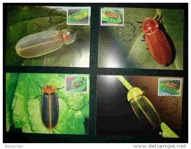 Maxi Cards Taiwan 2006 Fireflies Stamps Insect Firefly Fauna - Maximumkaarten