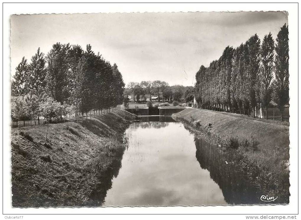 Malicorne-sur-sarthe (72) : Le Canal Et L'écluse  Env 1950 (animée). - Malicorne Sur Sarthe