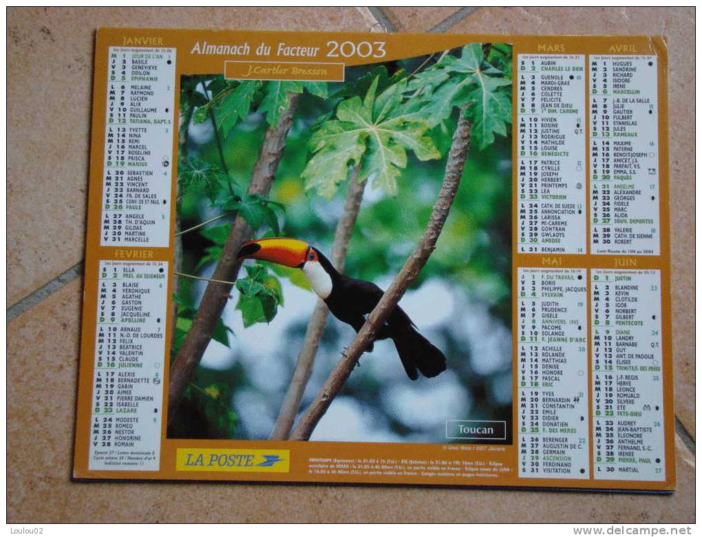 Calendrier ALMANACH Du Facteur PTT - 2003 - Oiseaux - J CARTIER BRESSON - Rhone 69 - Très Bon état - Tamaño Grande : 2001-...