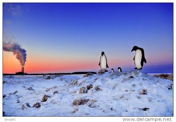 A63-59   @    Antarctica Polar Bird Penguins       , ( Postal Stationery , Articles Postaux ) - Penguins