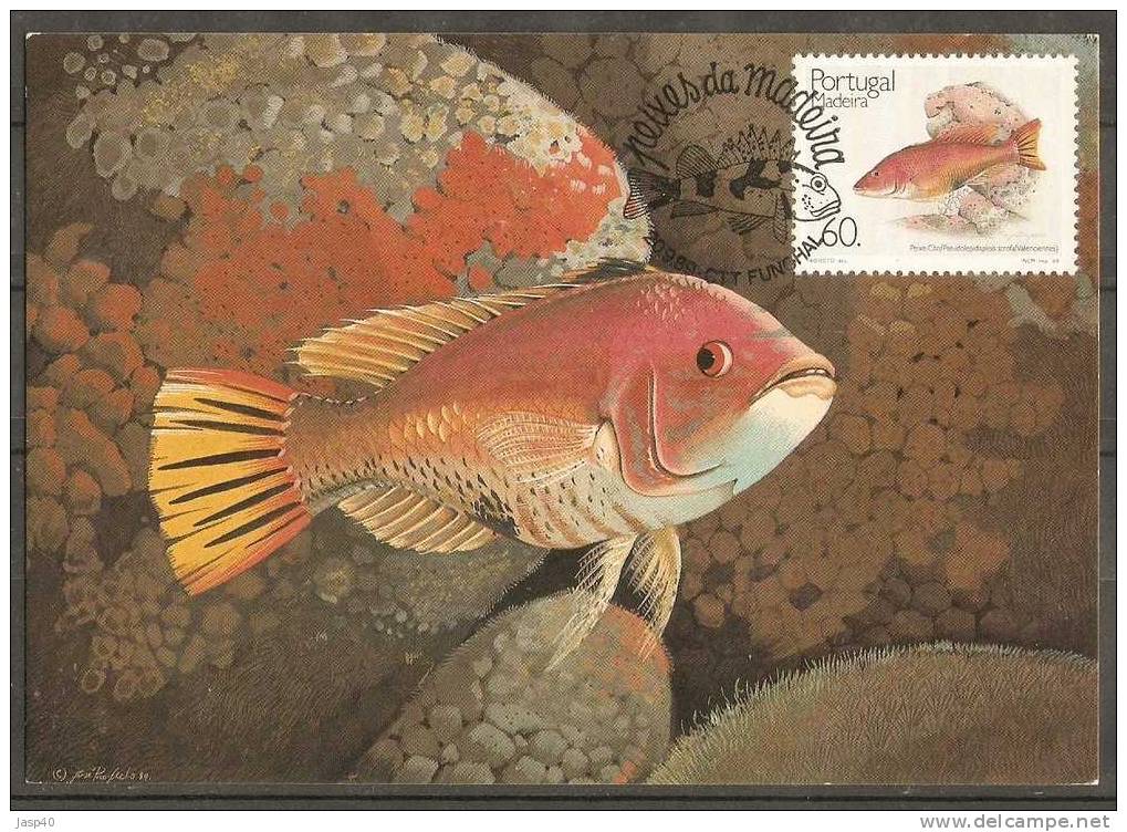 PEIXES DA MADEIRA - Postmark Collection