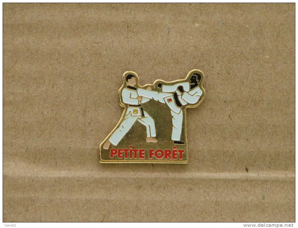 PINS JUDO PETITE FORET (59) - Judo