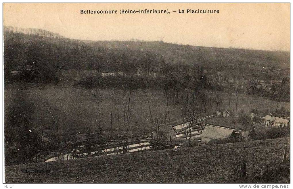 Bellencombre Rare Vue De La Pisciculture - Bellencombre