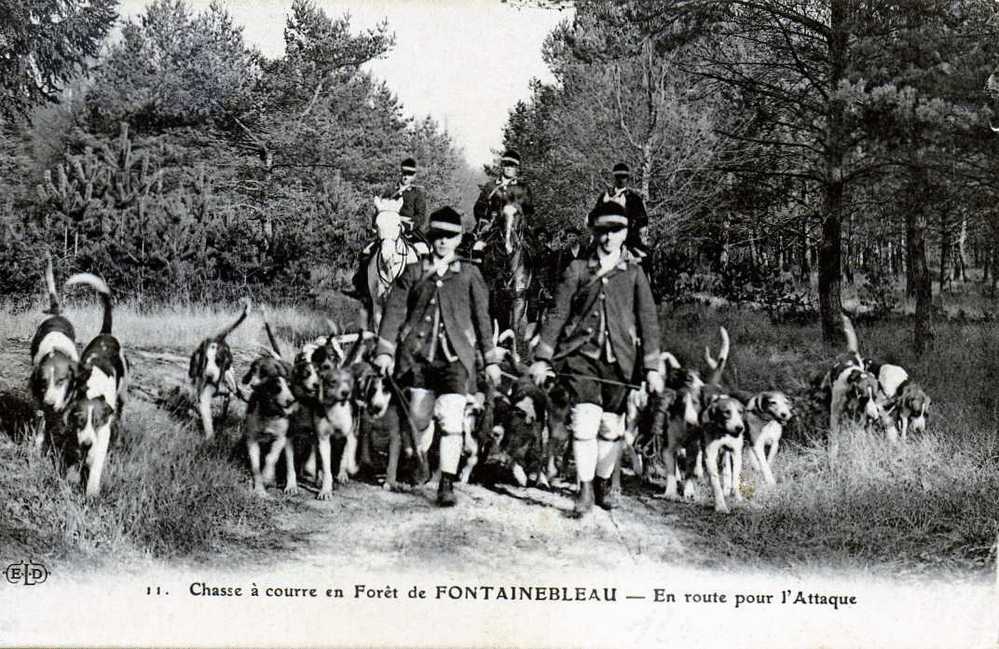 77 CHASSE A COURRE FORET DE FONTAINEBLEAU EN ROUTE POUR L'ATTAQUE - Chasse