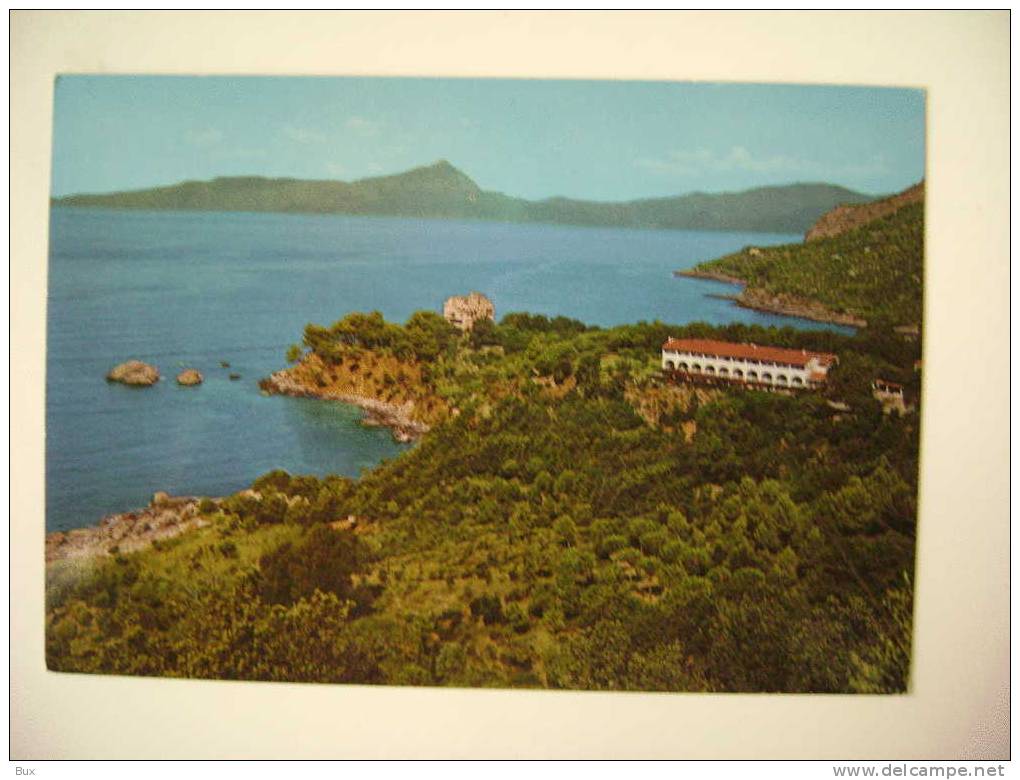 MARATEA  POTENZA  BASILICATA  NON  VIAGGIATA  COME DA FOTO PICCOLA SCRITTA SUL RETRO - Potenza