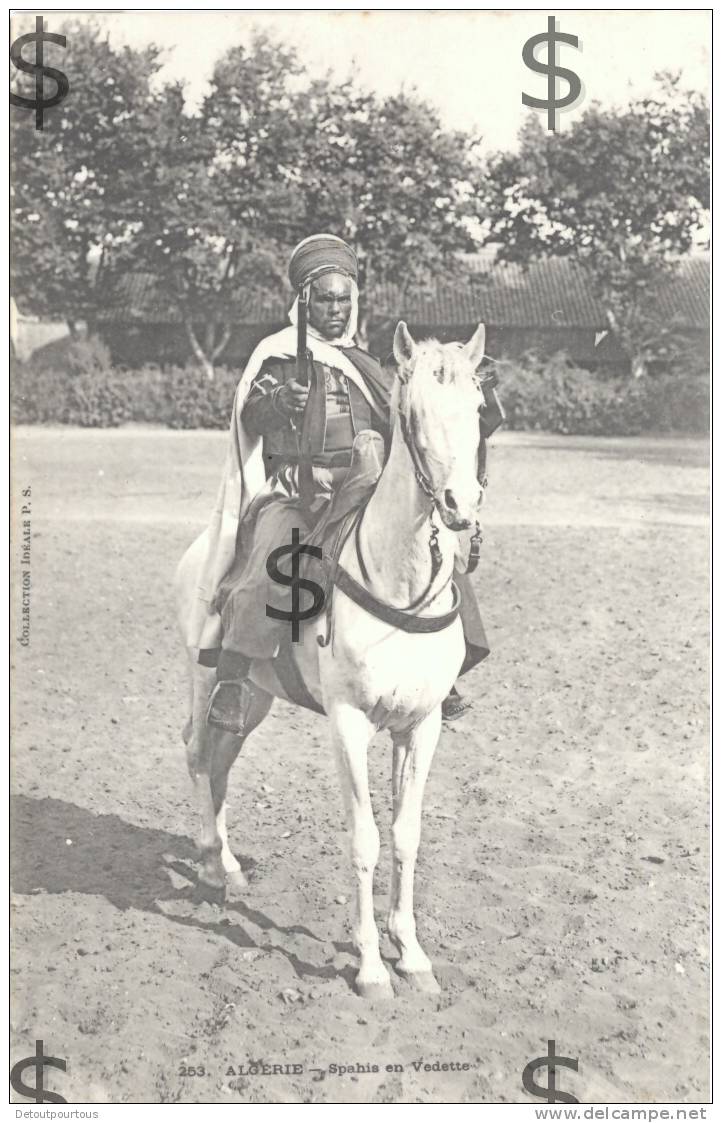 ALGERIE : Saphis En Vedette ( Cavalier Cheval Pferd Horse ) - Hommes