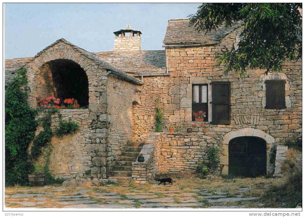 Cpm  Vieille Maison Fleurie Dans Le Sud De La France - Languedoc-Roussillon