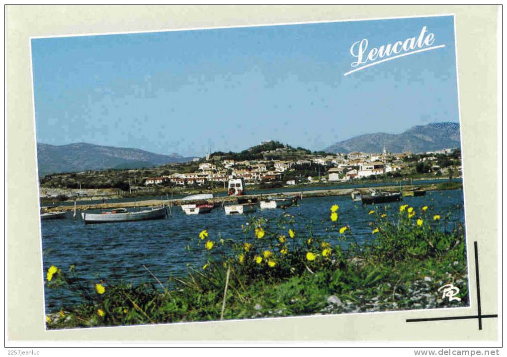 Cpm Leucate Village Vue Générale Depuis L'étang - Leucate