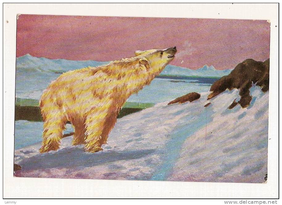 ANIMAUX - OURS - ILLUSTRATEUR -  MUNCHENER KUNST N° 63 - Bears